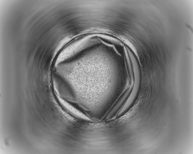 X0000094940997200712201111