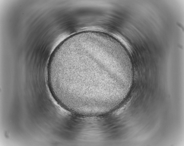 X0000094940999200712201111