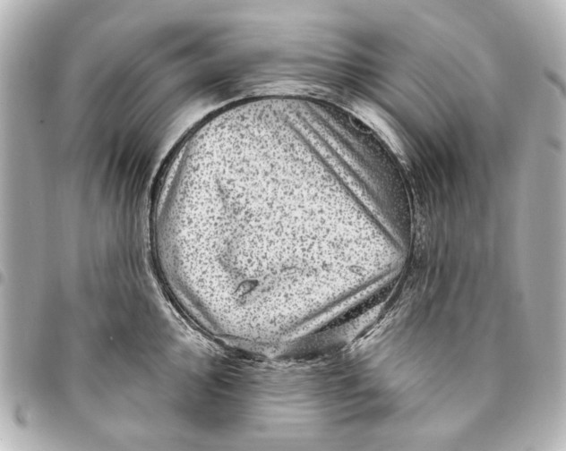 X0000094941000200712201111