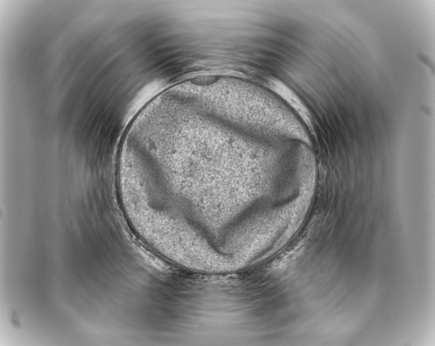 X0000094941002200712201111