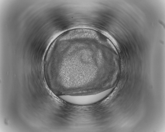 X0000094941004200712201111