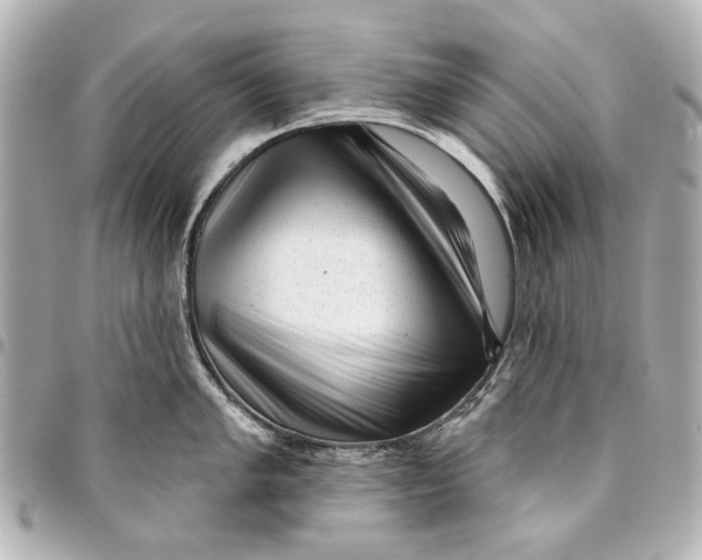 X0000094941005200712201111