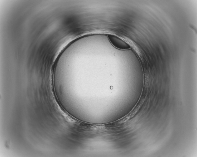 X0000094941006200712201111