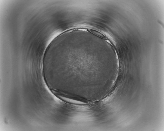 X0000094941007200712201110