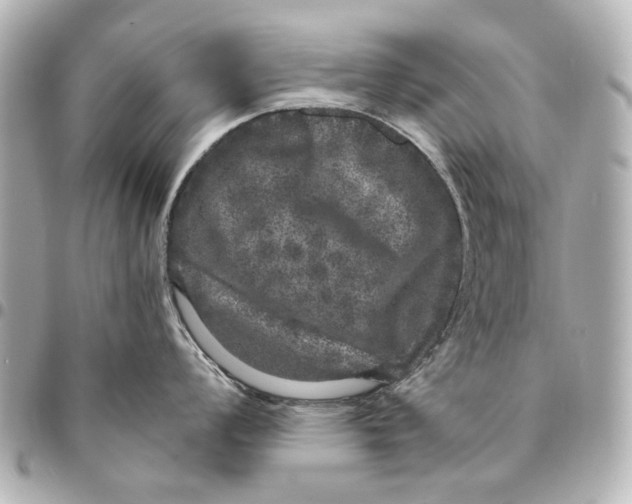 X0000094941008200712201110