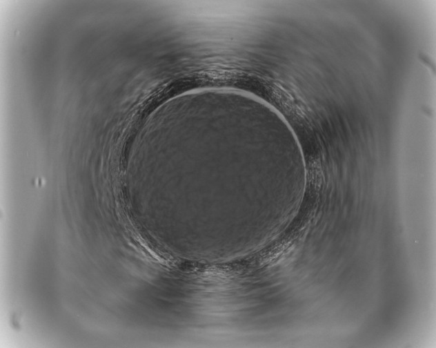 X0000094941009200712201110