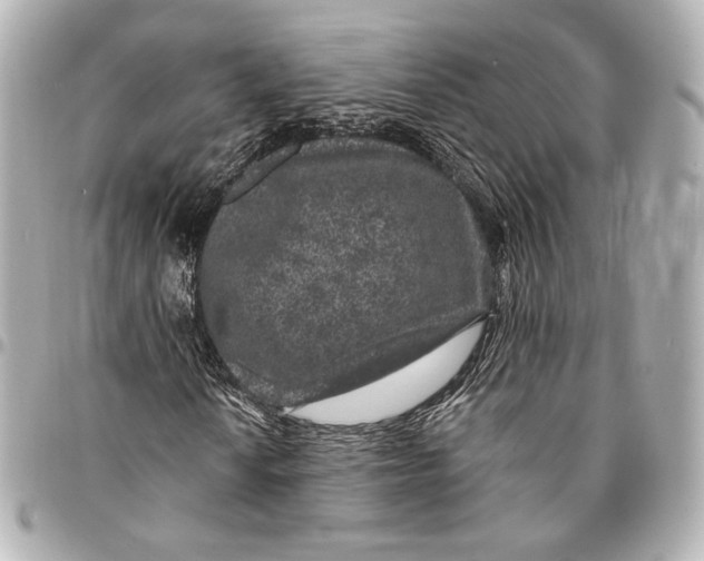 X0000094941010200712201110