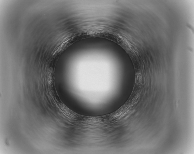 X0000094941012200712201110