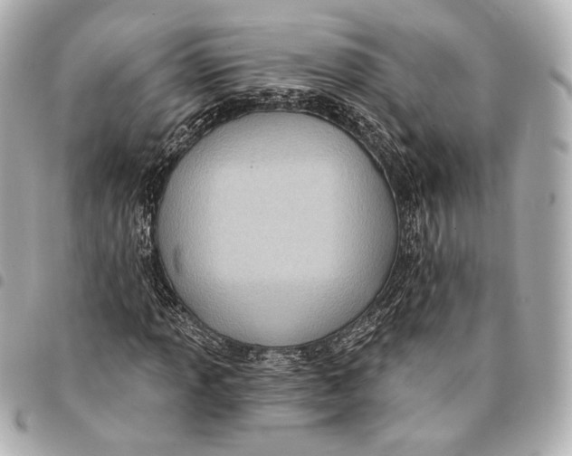 X0000094941013200712201110