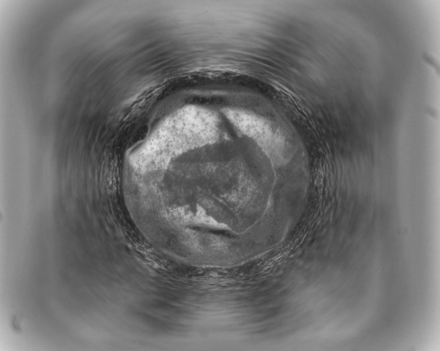 X0000094941014200712201110