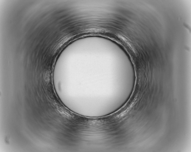 X0000094941017200712201110