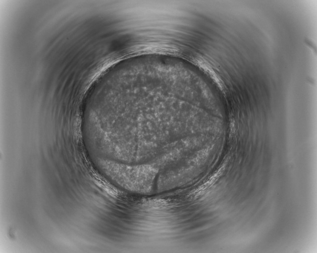 X0000094941019200712201110