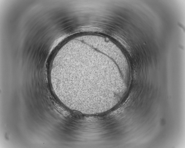 X0000094941022200712201110