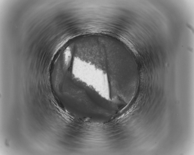 X0000094941023200712201110