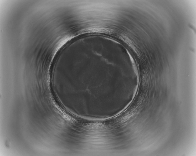 X0000094941024200712201110