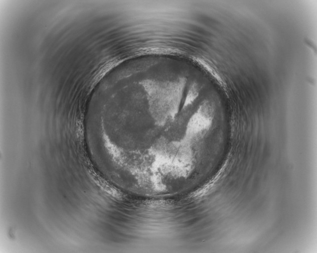 X0000094941025200712201110