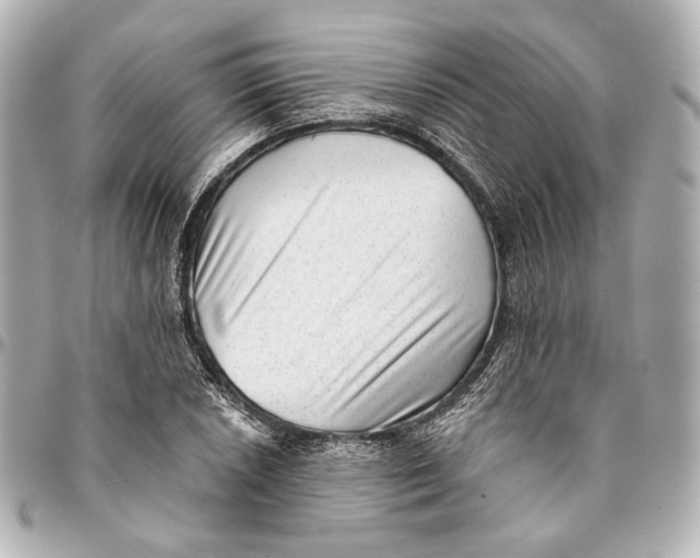 X0000094941026200712201110