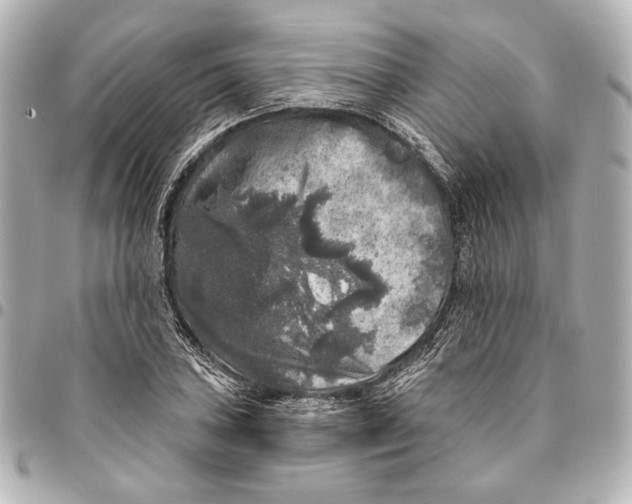 X0000094941027200712201110