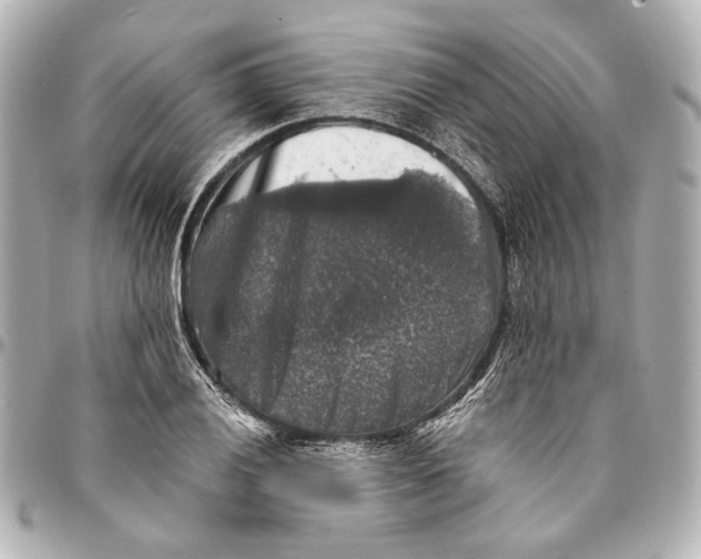 X0000094941028200712201110