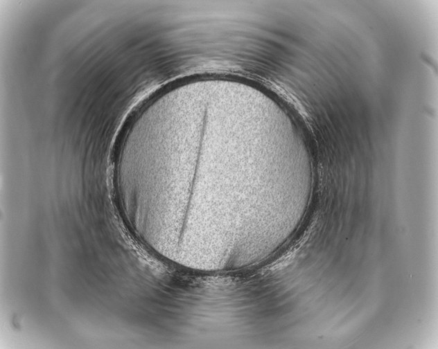 X0000094941029200712201110