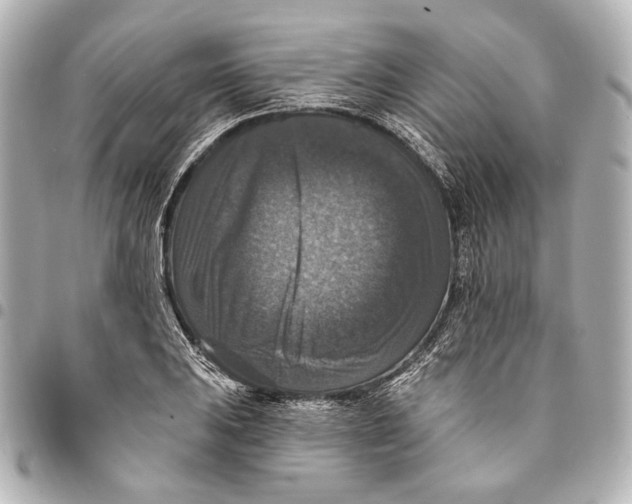 X0000094941031200712201110