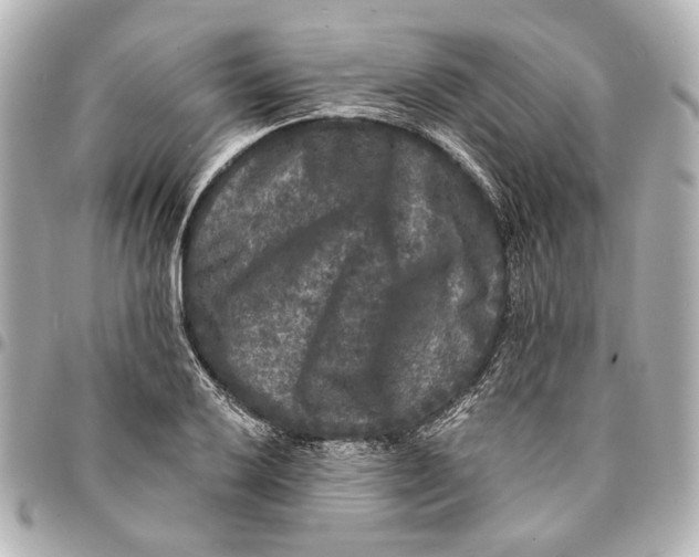 X0000094941032200712201110