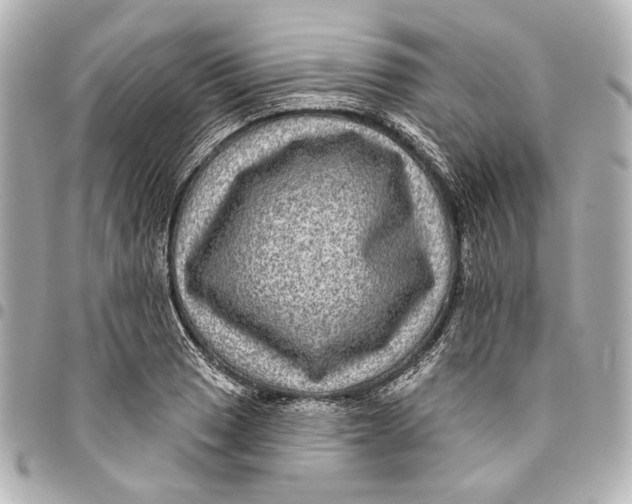 X0000094941033200712201110