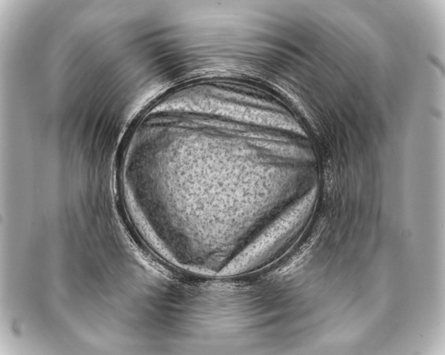 X0000094941034200712201110