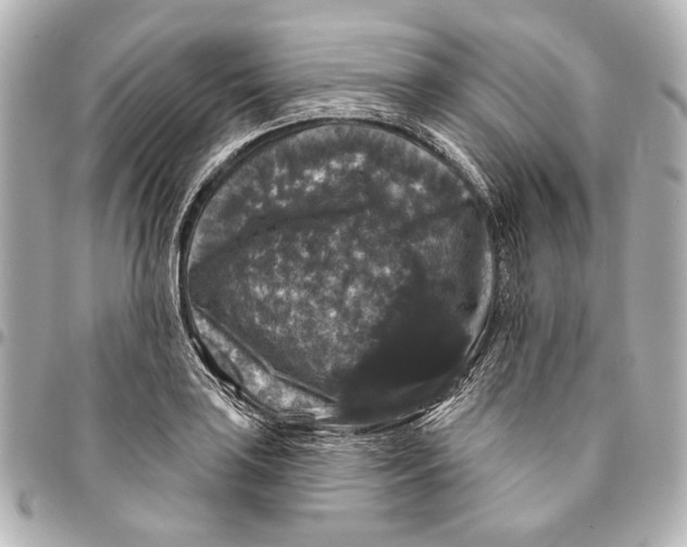 X0000094941035200712201110