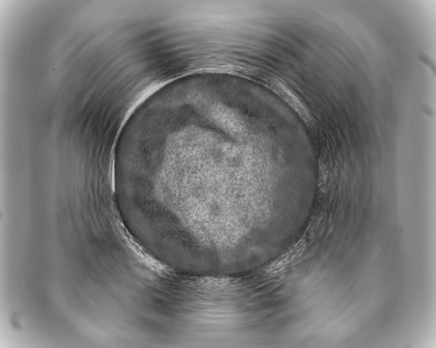 X0000094941036200712201110