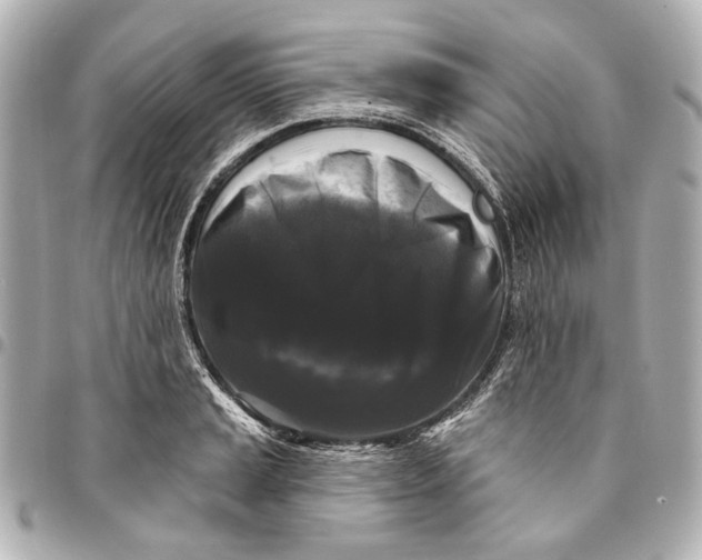 X0000094941037200712201110