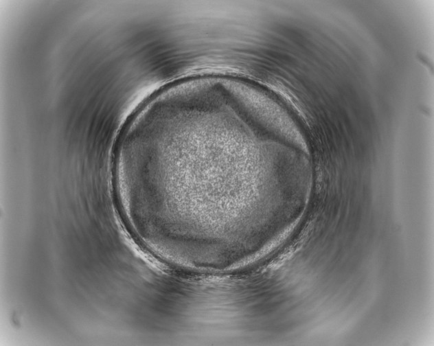 X0000094941038200712201110