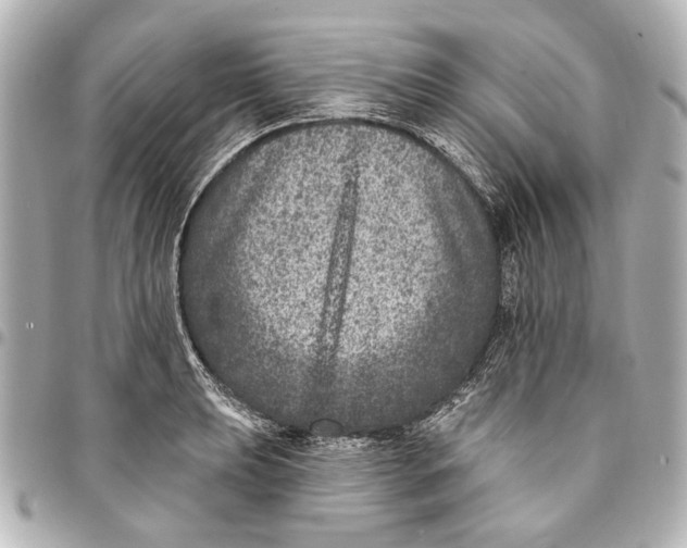 X0000094941039200712201110