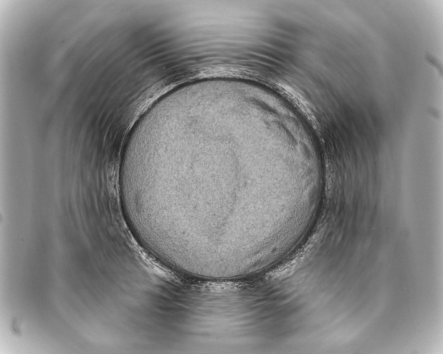 X0000094941041200712201110