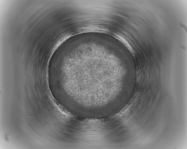 X0000094941043200712201110