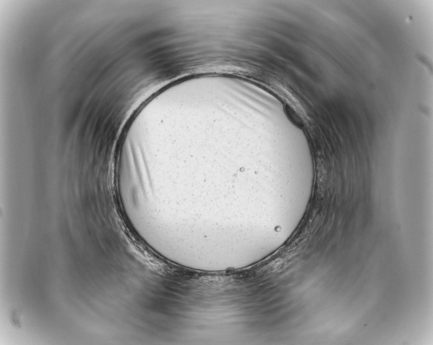 X0000094941044200712201110