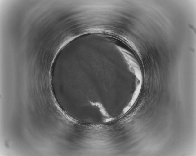 X0000094941045200712201110