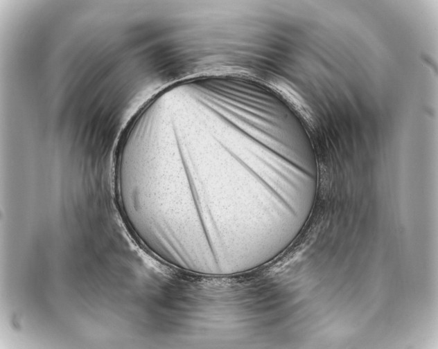 X0000094941046200712201110