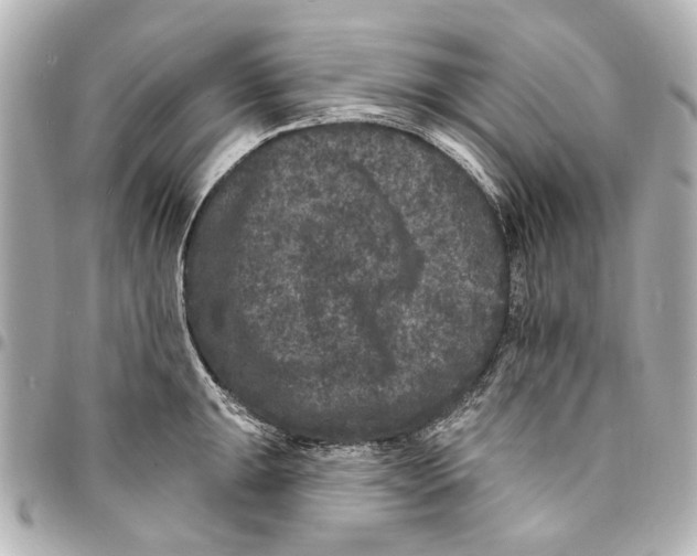 X0000094941047200712201110