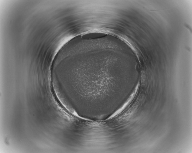 X0000094941048200712201110