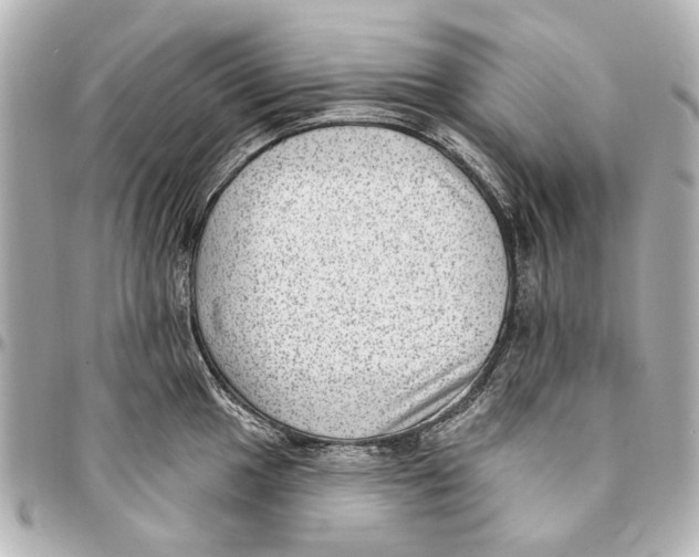 X0000094941049200712201110