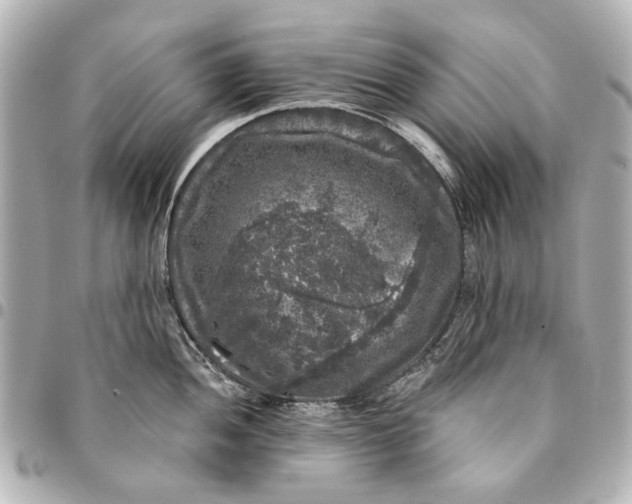 X0000094941052200712201110