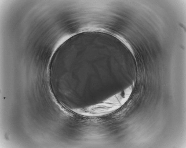 X0000094941053200712201110