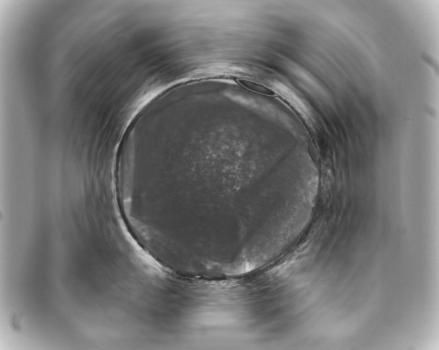 X0000094941055200712201110