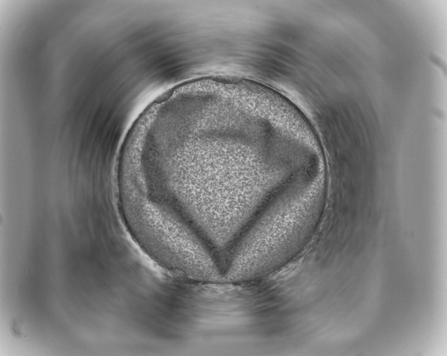 X0000094941056200712201110