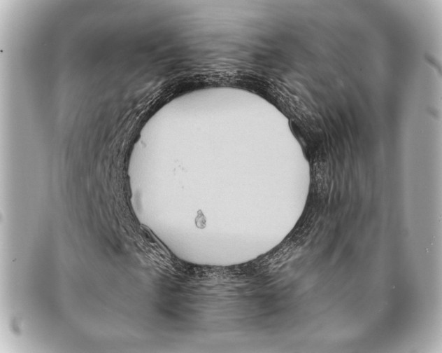 X0000094941057200712201110