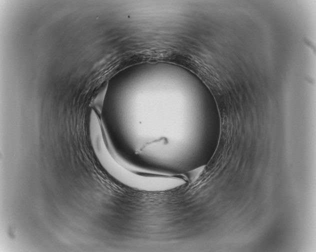 X0000094941058200712201110