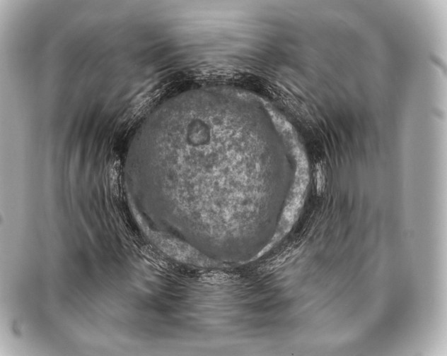 X0000094941059200712201110