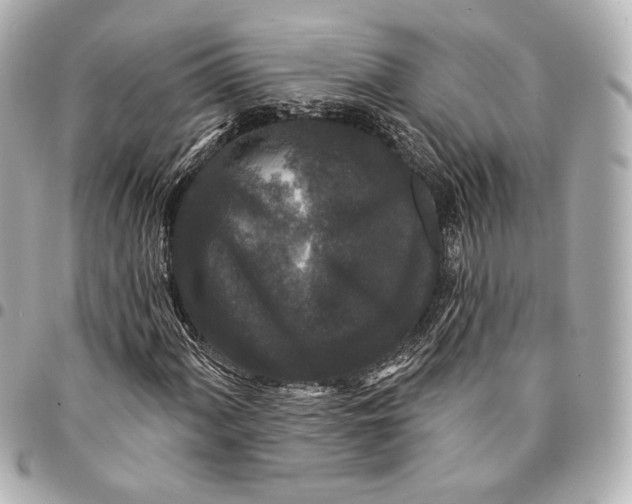 X0000094941060200712201110