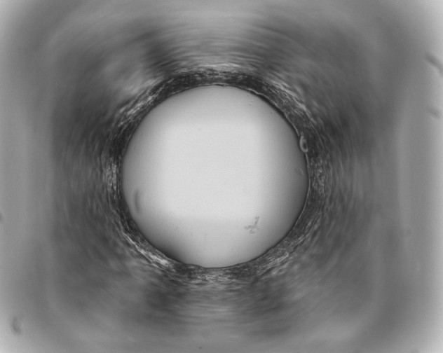 X0000094941061200712201110